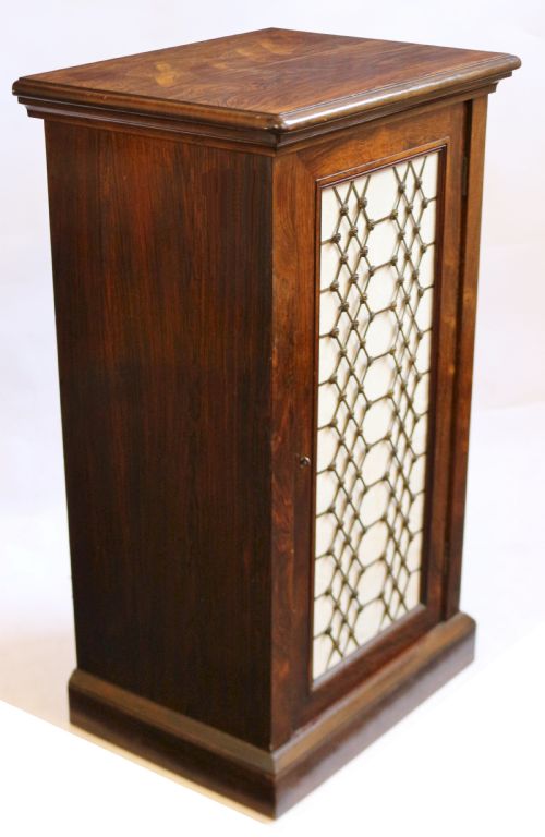 WILLIAM IV ROSEWOOD CUPBOARD WITH SINGLE BRASS GRILL DOOR - ADDITIONAL PHOTO 2