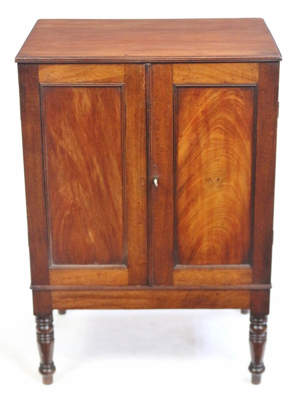George 1V Mahogany 2 Door Cupboard Fitted with Specimen Drawers