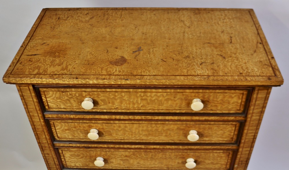 Fine Quality Early Victorian Hungarian Ash 7 Drawer Wellington Chest View IV
