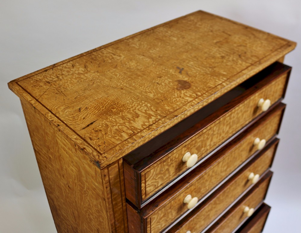 Fine Quality Early Victorian Hungarian Ash 7 Drawer Wellington Chest View VI