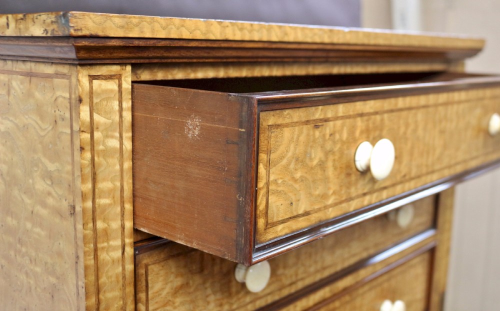Fine Quality Early Victorian Hungarian Ash 7 Drawer Wellington Chest View X