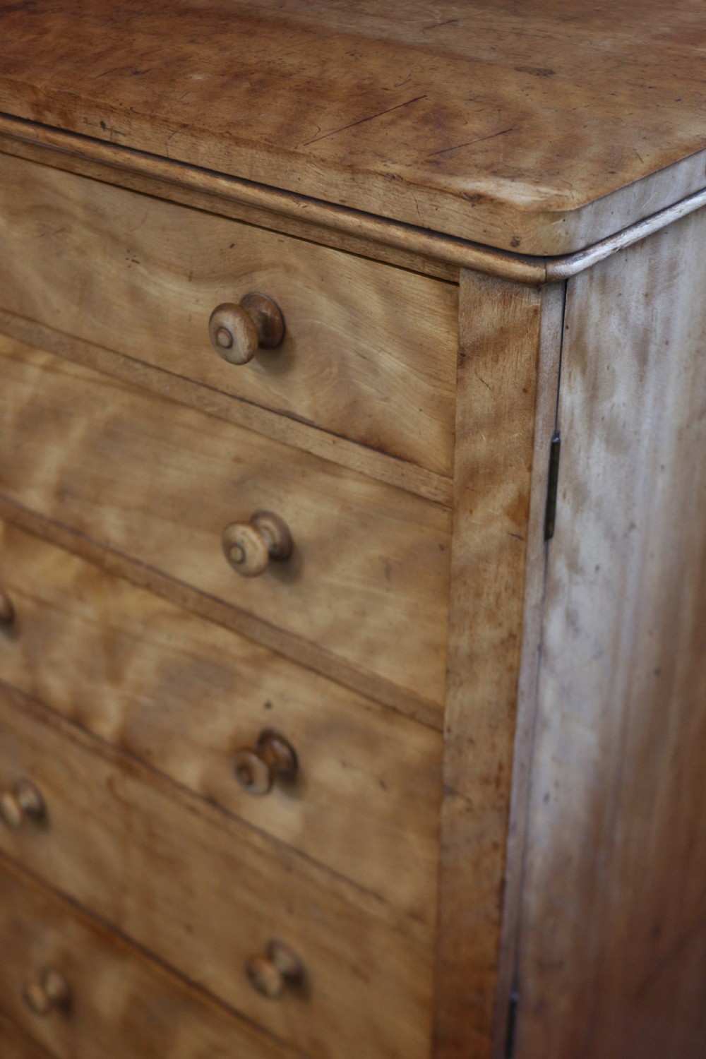 Victorian Satin Birch 6 Drawer Wellington Chest by Holland & Son View VIII