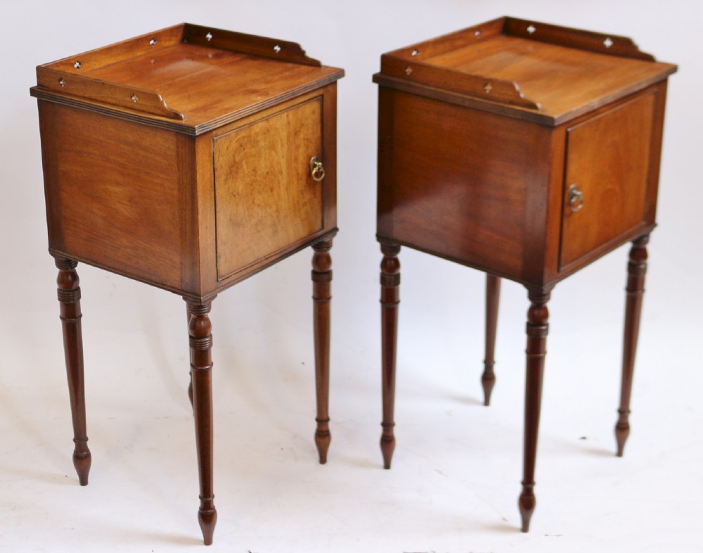 19C Mahogany Pair of Bedside Pot Cupboards View IV
