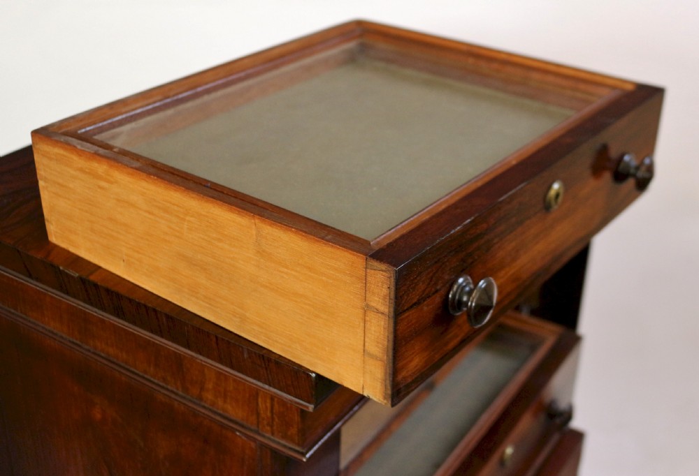 Early Victorian Rosewood 7 Drawer Wellington Specimen Chest View VII