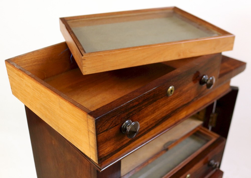 Early Victorian Rosewood 7 Drawer Wellington Specimen Chest View VIII