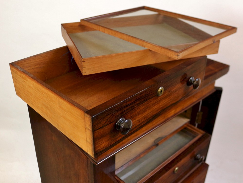 Early Victorian Rosewood 7 Drawer Wellington Specimen Chest View IX