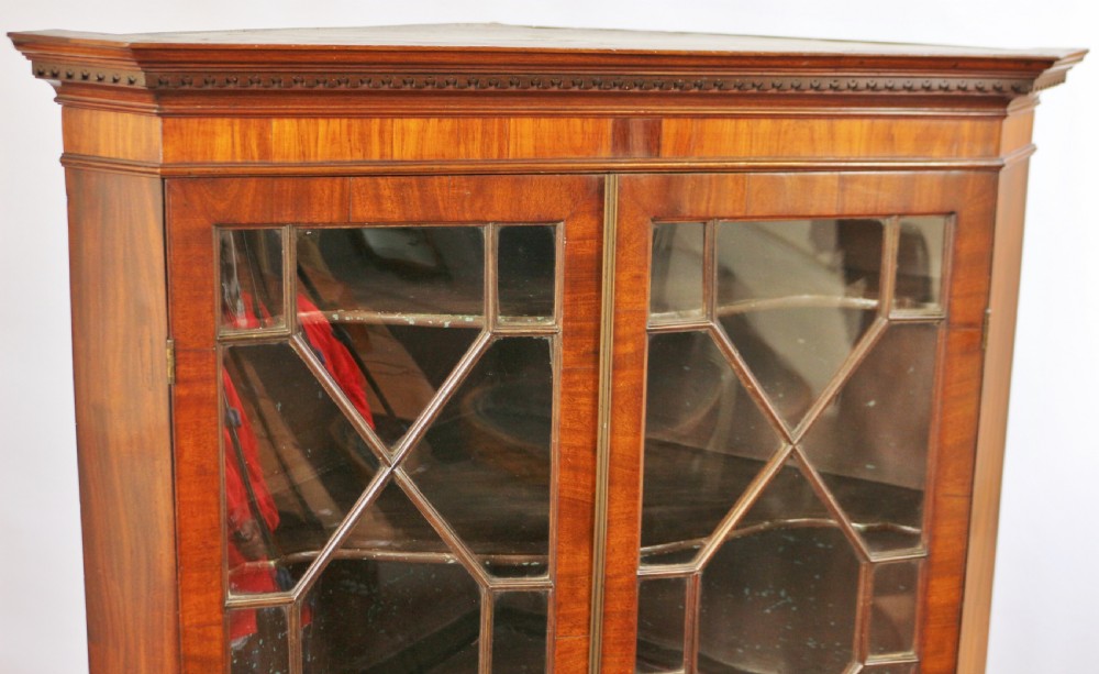 George 111 Mahogany Cupboard Base Corner Cabinet View VII