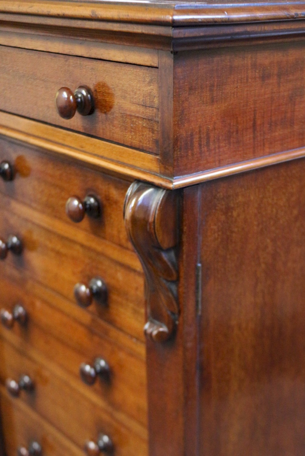 Victorian Mahogany 10 Drawer Wellington Chest View VIII