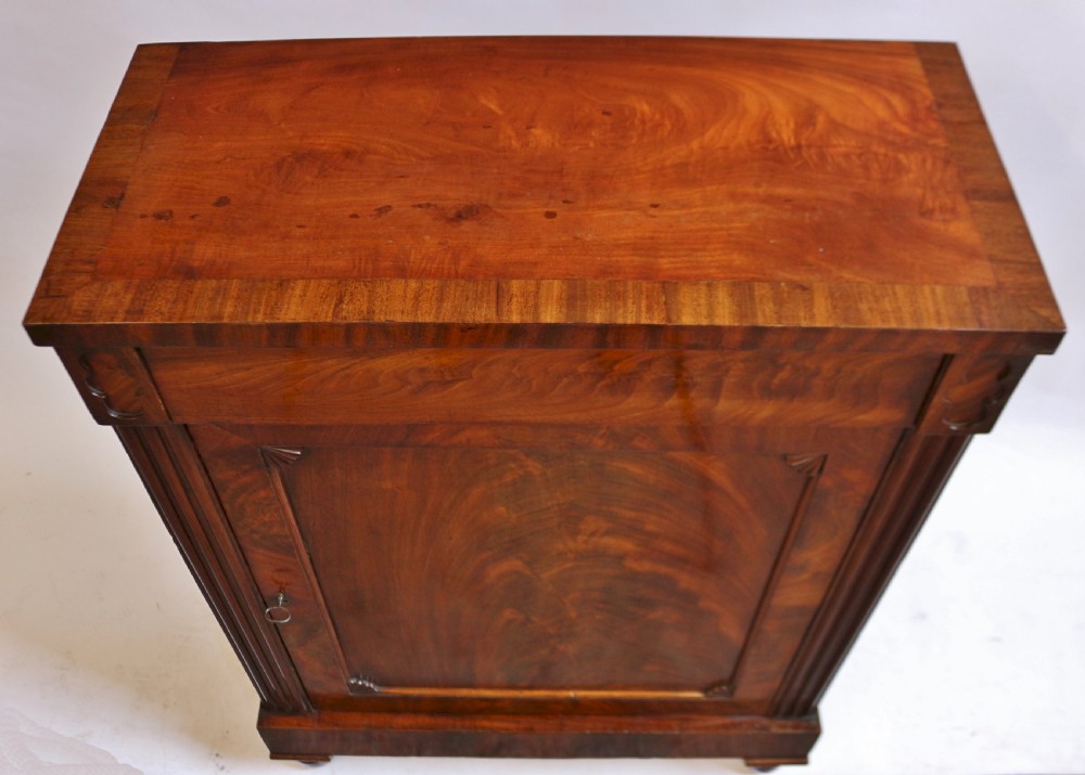 George IV Flared Mahogany Single Door Side Cupboard View VI