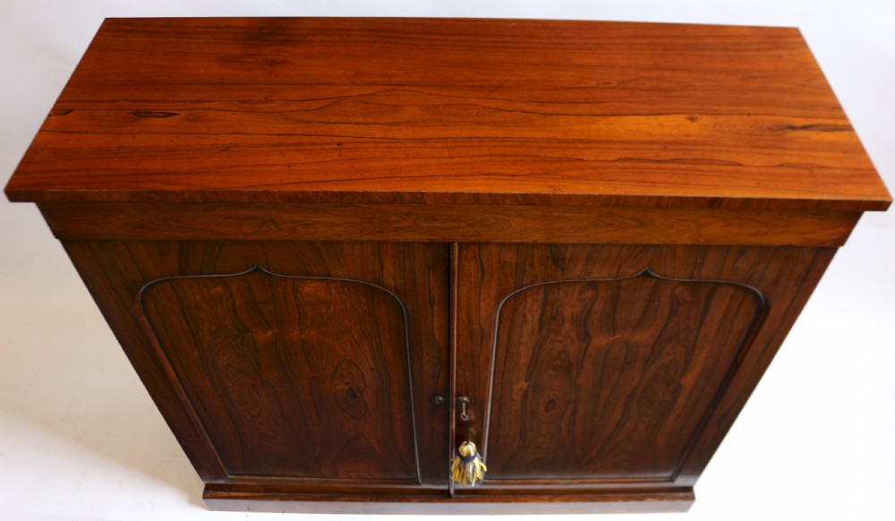 William 1V Rosewood 2 Door Side Cupboard View III