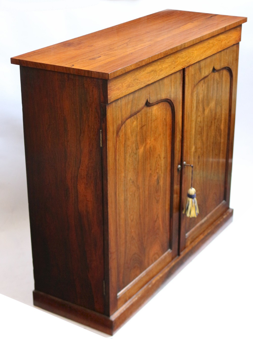 William 1V Rosewood 2 Door Side Cupboard View V