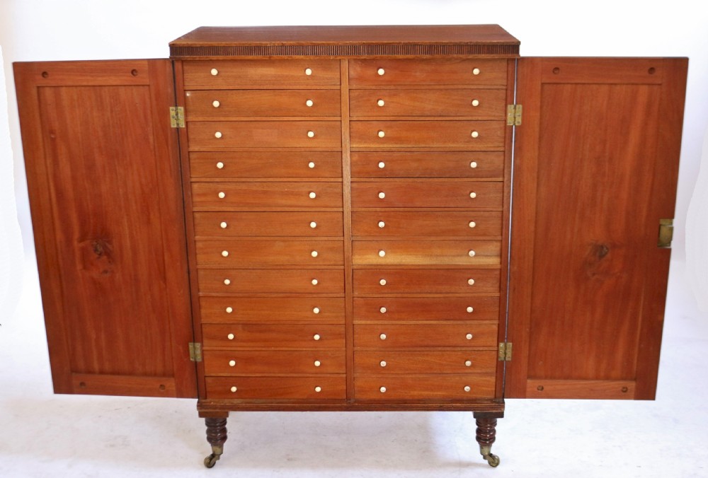 Regency Mahogany 2 Door Specimen Cabinet with 24 Drawers View III