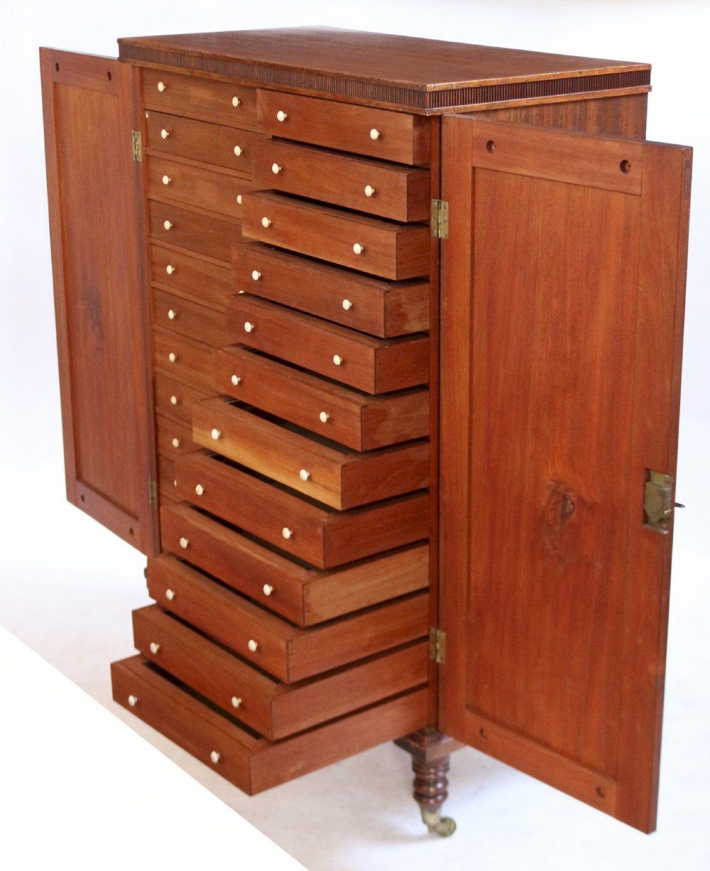 Regency Mahogany 2 Door Specimen Cabinet with 24 Drawers View V