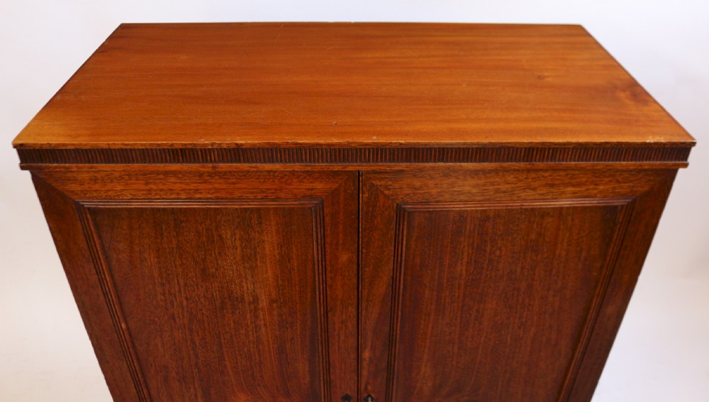 Regency Mahogany 2 Door Specimen Cabinet with 24 Drawers View VI