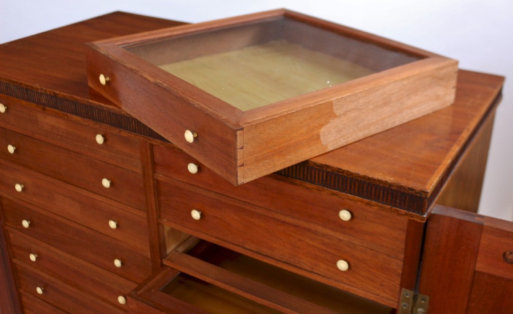 Regency Mahogany 2 Door Specimen Cabinet with 24 Drawers View VII