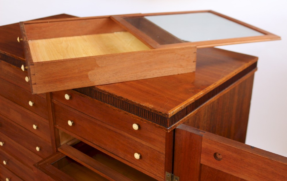 Regency Mahogany 2 Door Specimen Cabinet with 24 Drawers View VIII