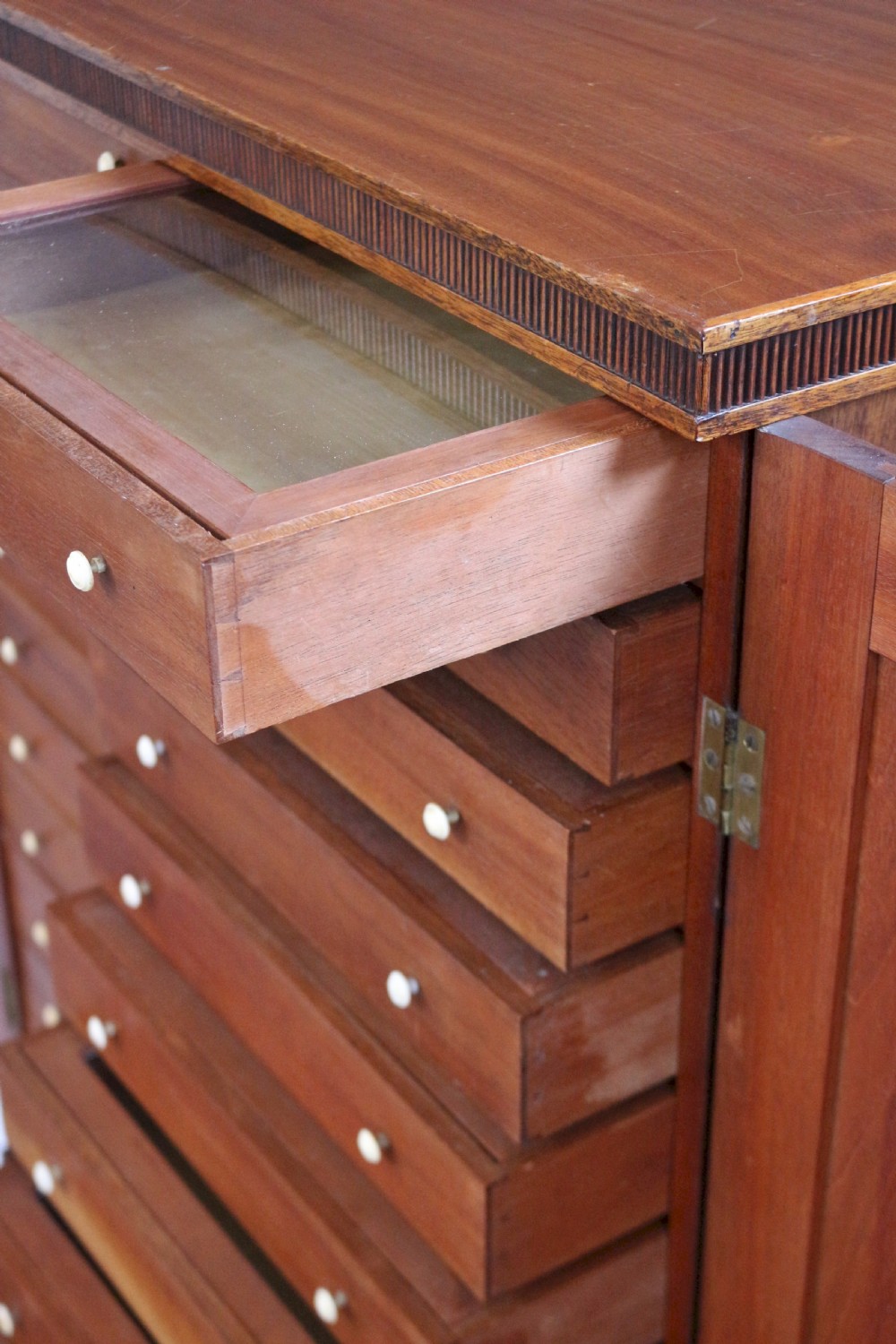 Regency Mahogany 2 Door Specimen Cabinet with 24 Drawers View IX