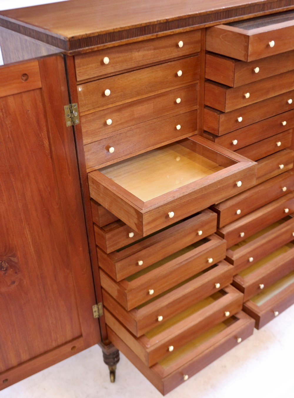 Regency Mahogany 2 Door Specimen Cabinet with 24 Drawers View X