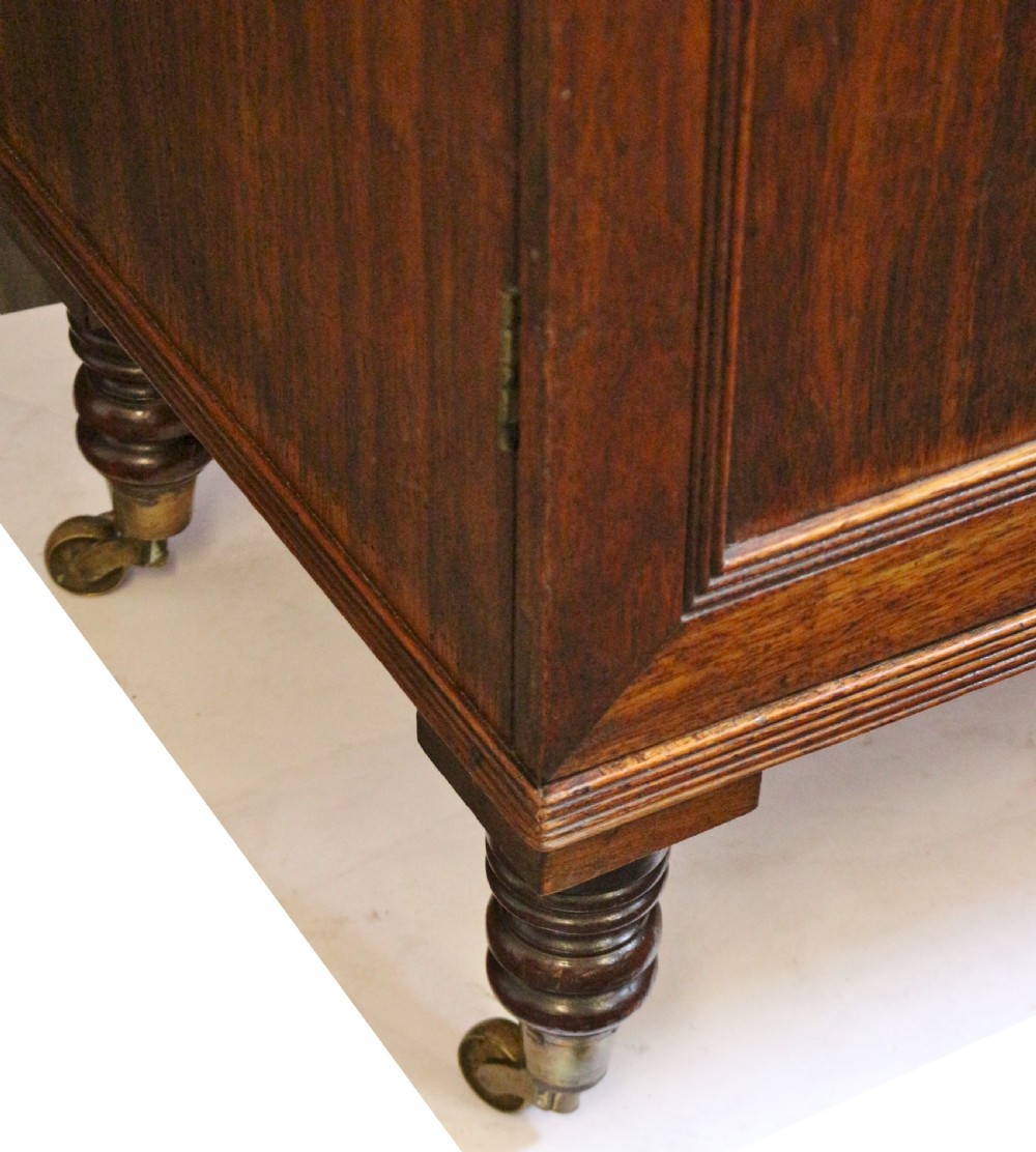 Regency Mahogany 2 Door Specimen Cabinet with 24 Drawers View XI