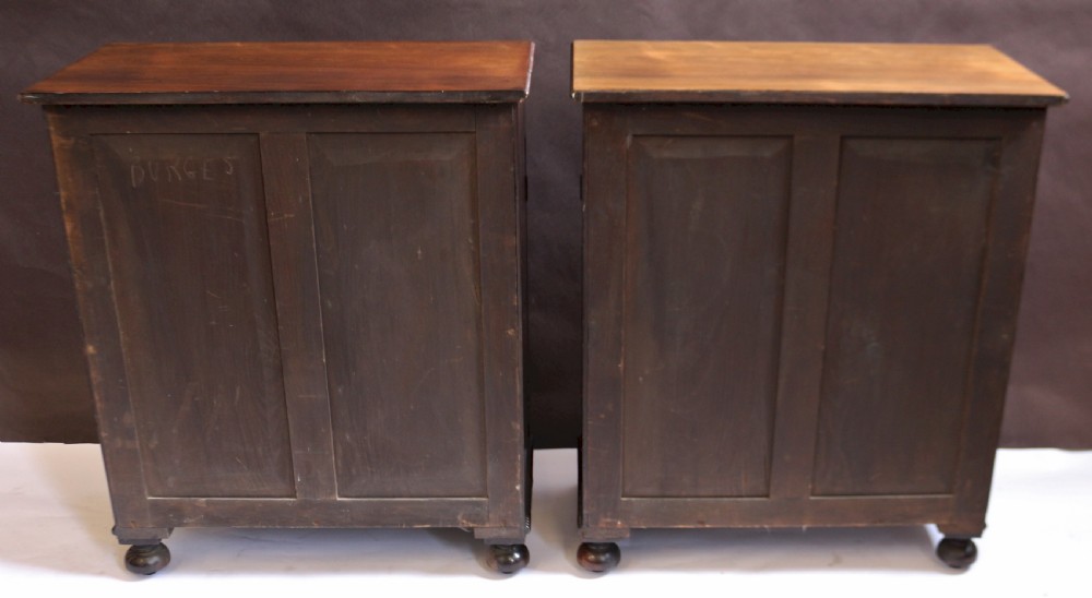 Fine and Rare Pair of Regency Rosewood Side Cabinets View X