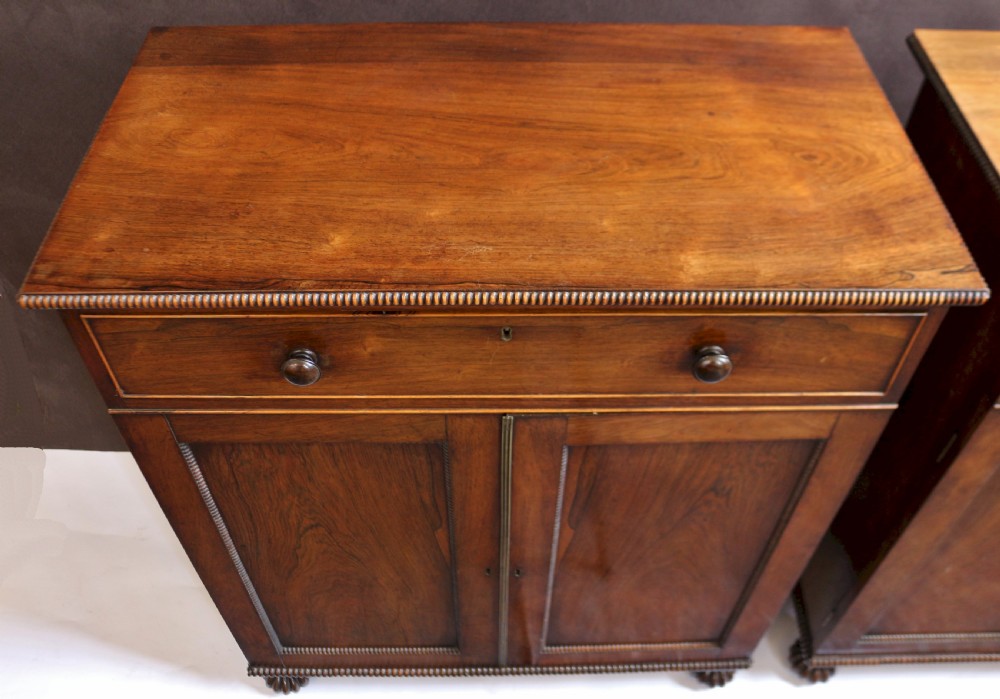 Fine and Rare Pair of Regency Rosewood Side Cabinets View XII