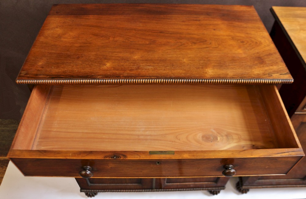 Fine and Rare Pair of Regency Rosewood Side Cabinets View XIII