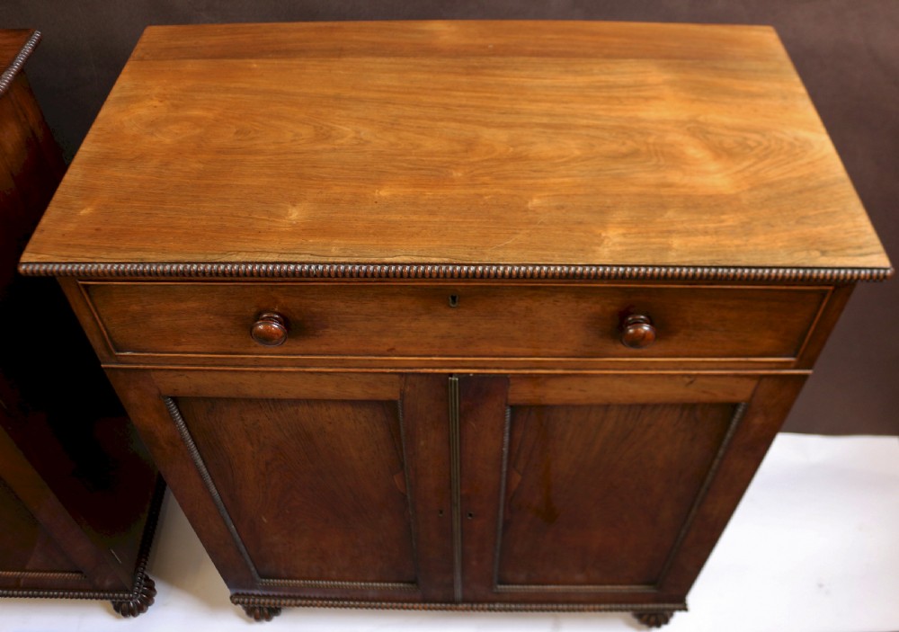 Fine and Rare Pair of Regency Rosewood Side Cabinets View XIV