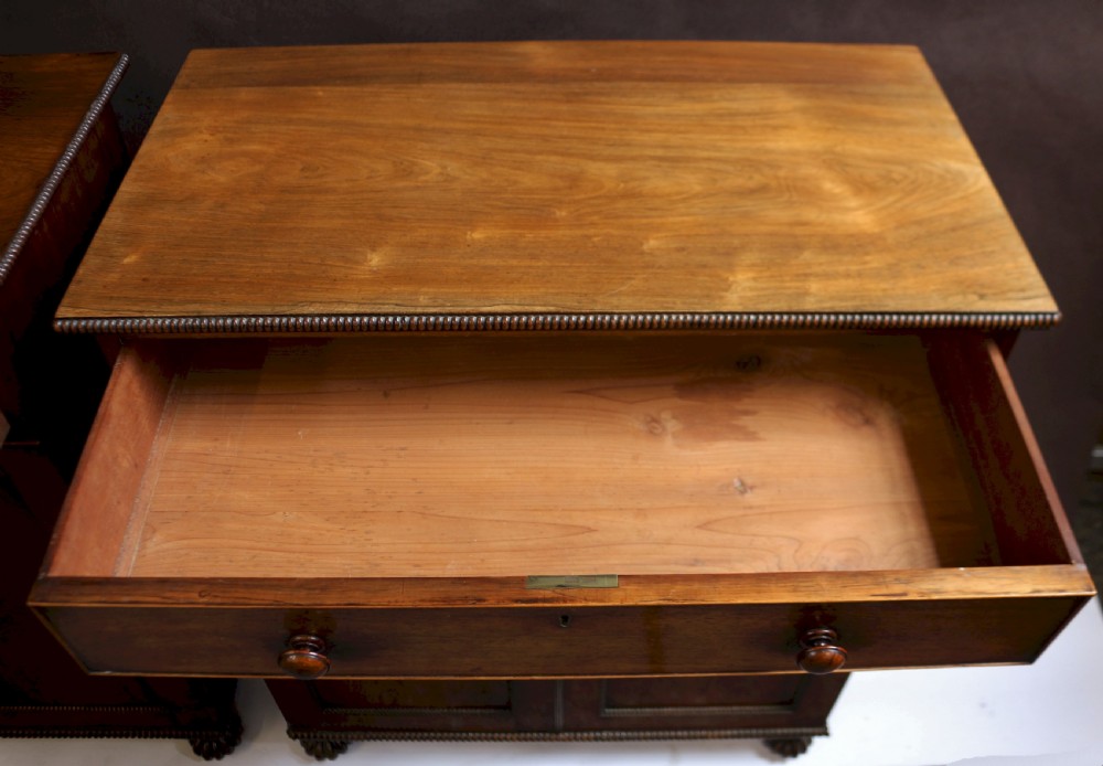 Fine and Rare Pair of Regency Rosewood Side Cabinets View XV