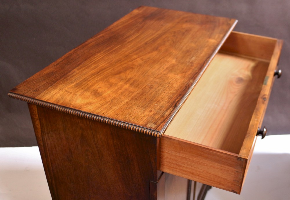 Fine and Rare Pair of Regency Rosewood Side Cabinets View XVI