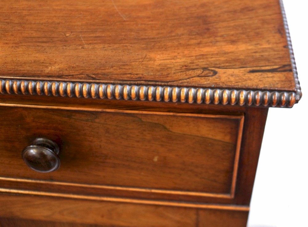Fine and Rare Pair of Regency Rosewood Side Cabinets View XVIII