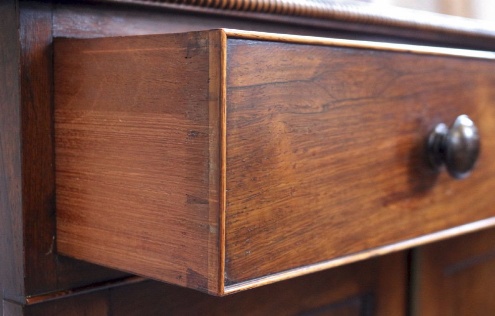Fine and Rare Pair of Regency Rosewood Side Cabinets View XIX