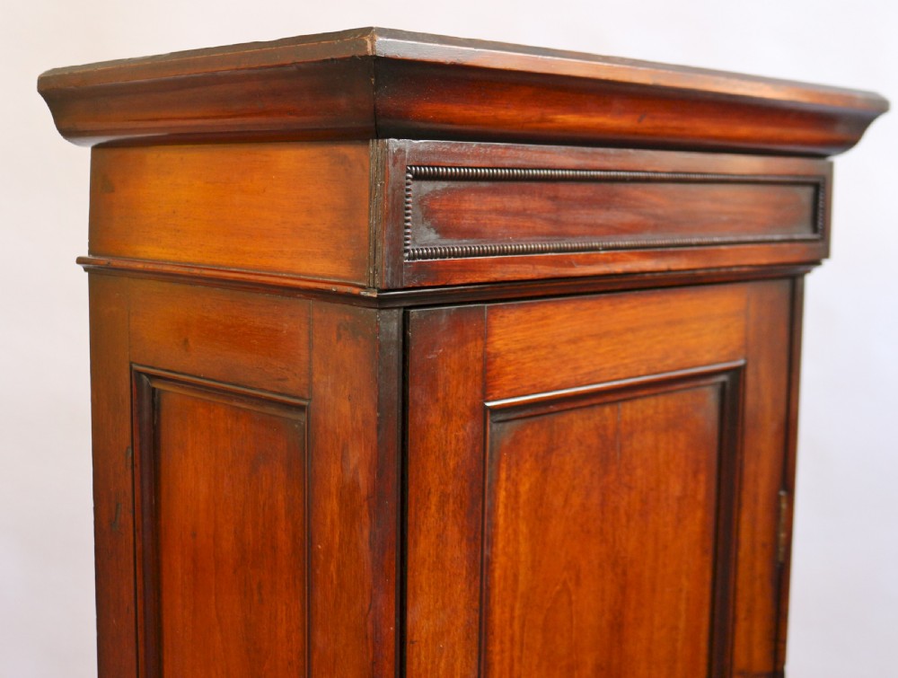 Victorian Mahogany Single Door Hall Cupboard View IX