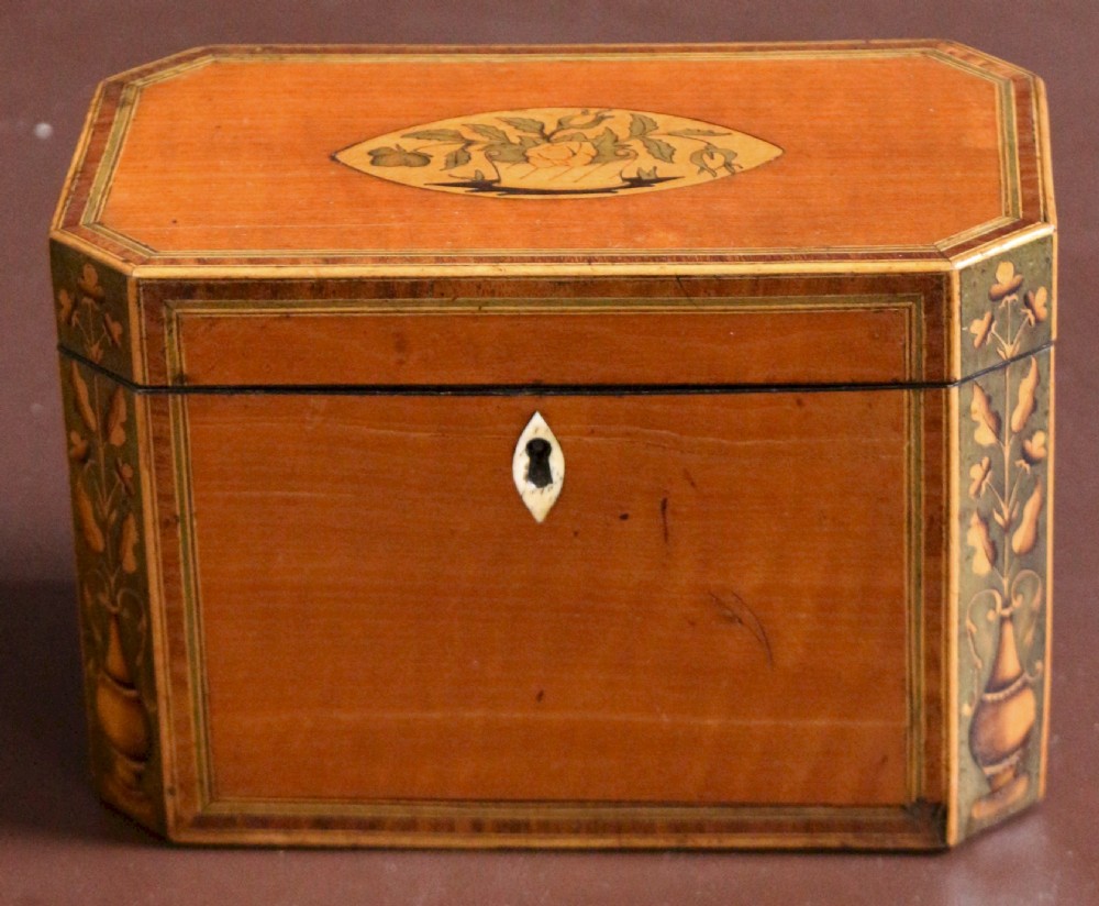 Regency Satinwood Inlaid Tea Caddy 