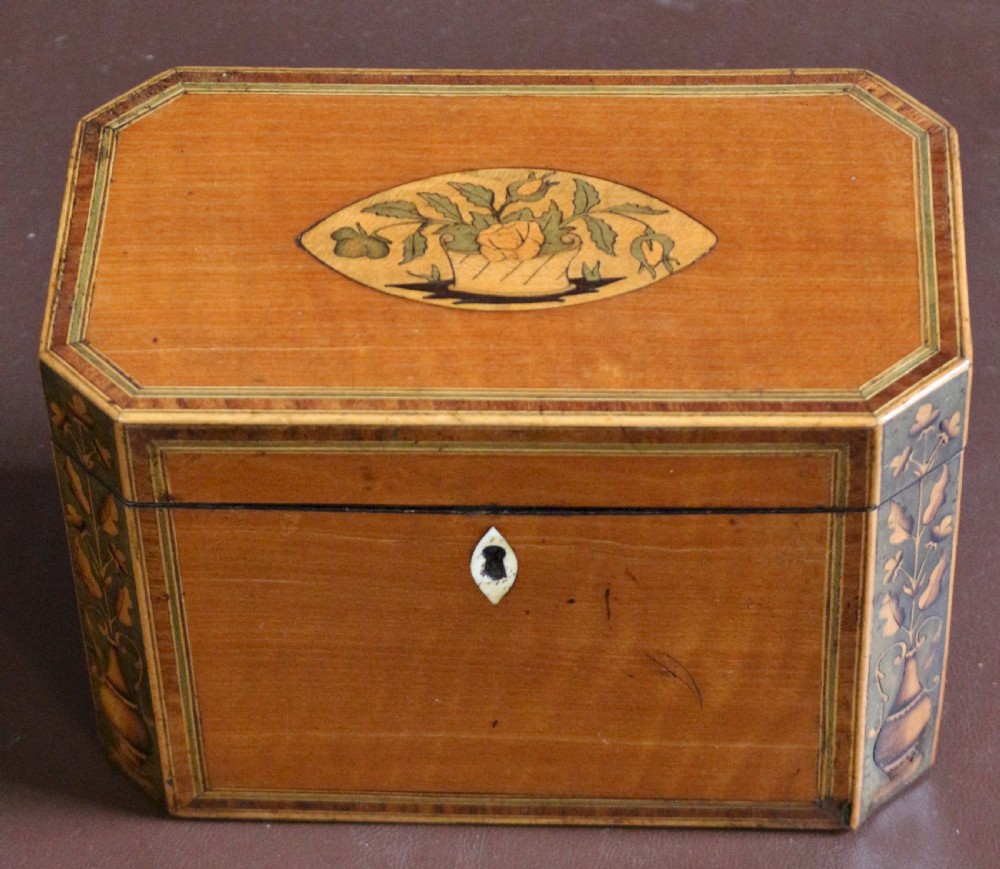 Regency Satinwood Inlaid Tea Caddy  View II
