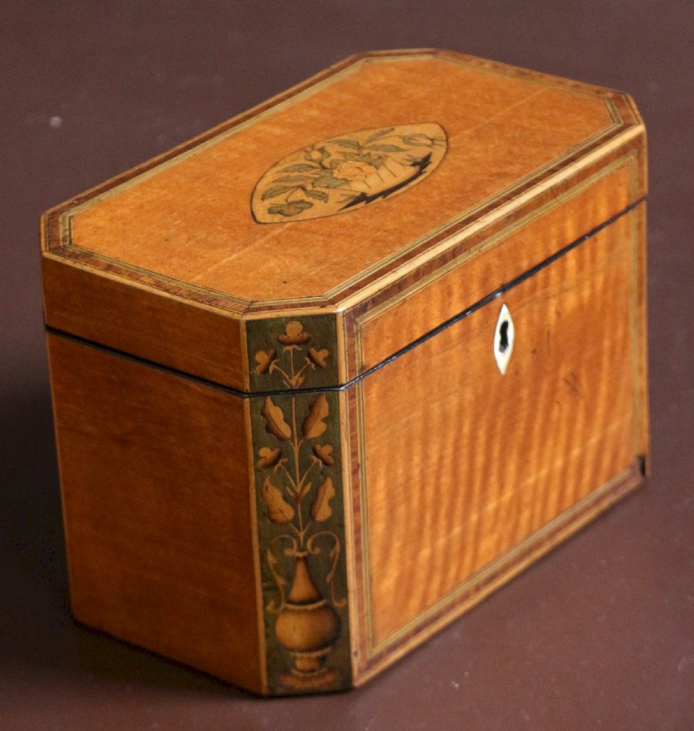 Regency Satinwood Inlaid Tea Caddy  View III