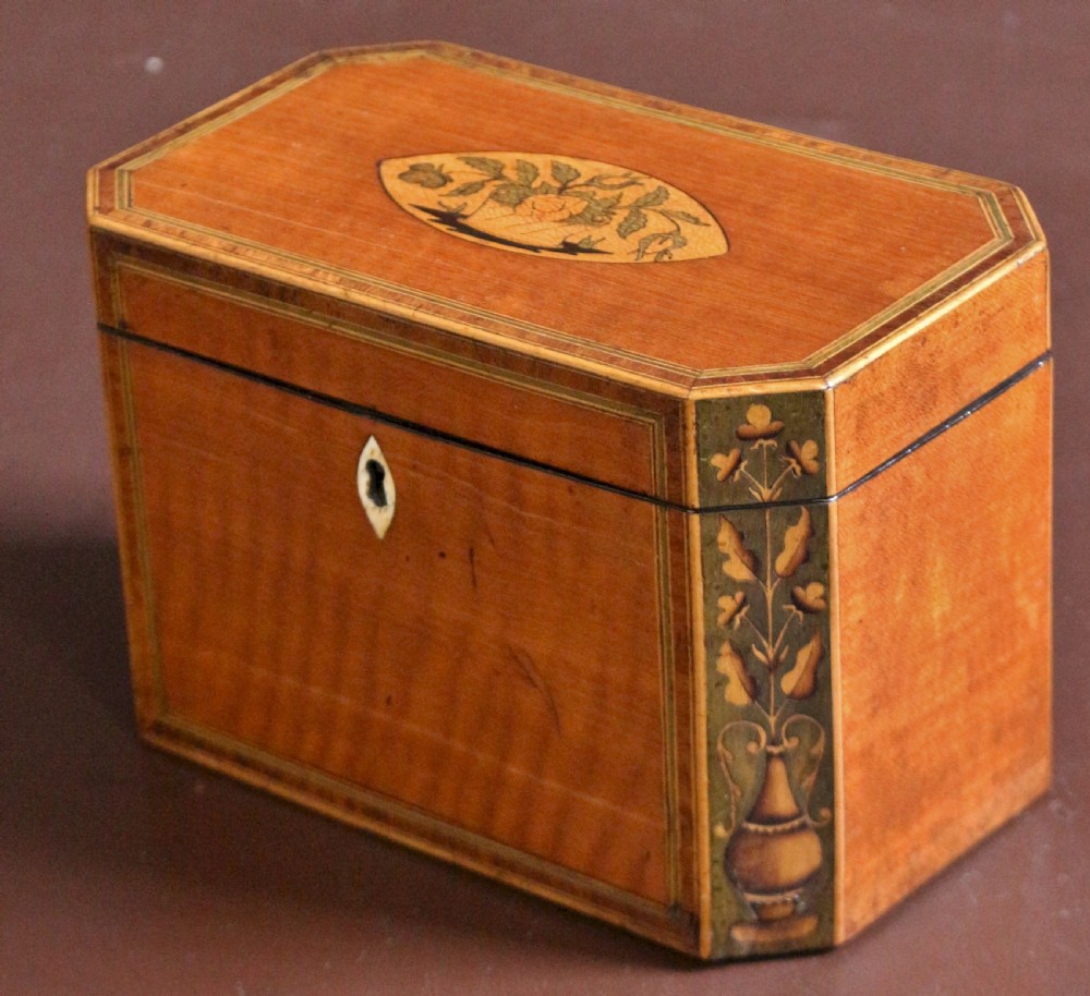 Regency Satinwood Inlaid Tea Caddy  View IV