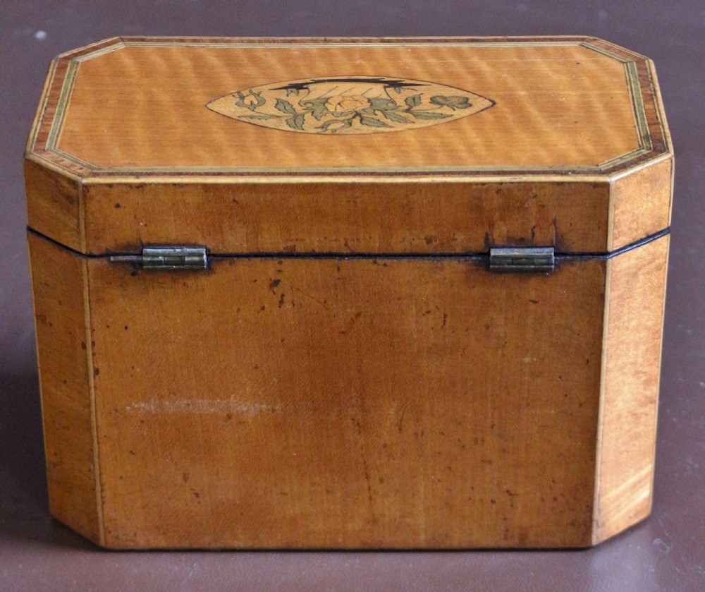 Regency Satinwood Inlaid Tea Caddy  View VII