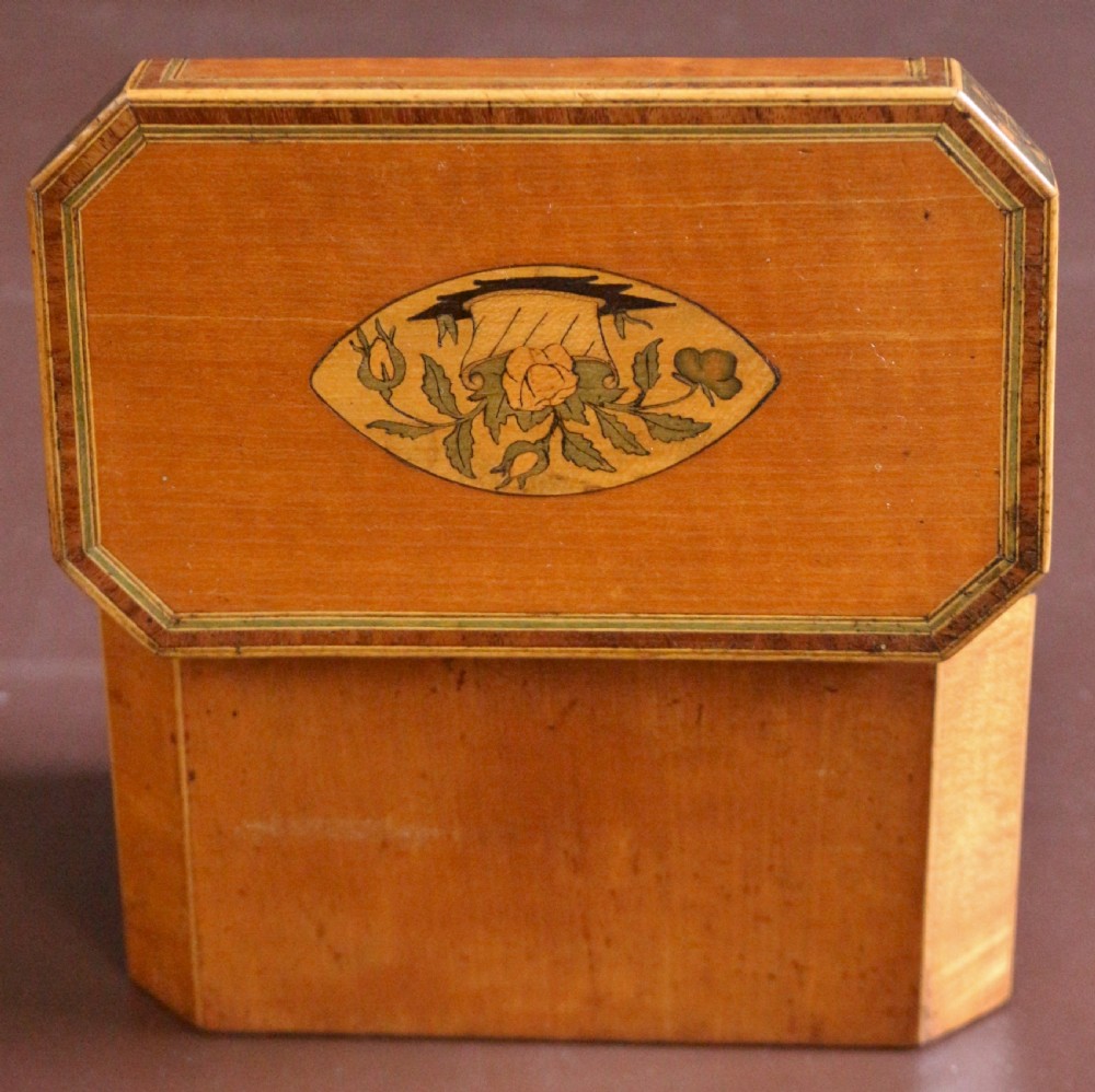 Regency Satinwood Inlaid Tea Caddy  View VIII