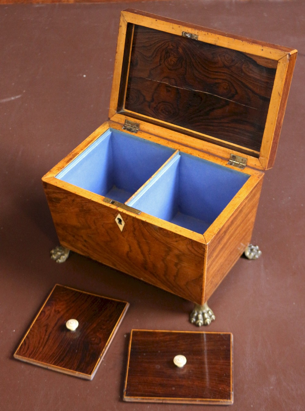 A Regency rosewood tapered oblong tea caddy featuring inlay stringing, a diamond bone escutcheon, and brass lion paw feet. View V