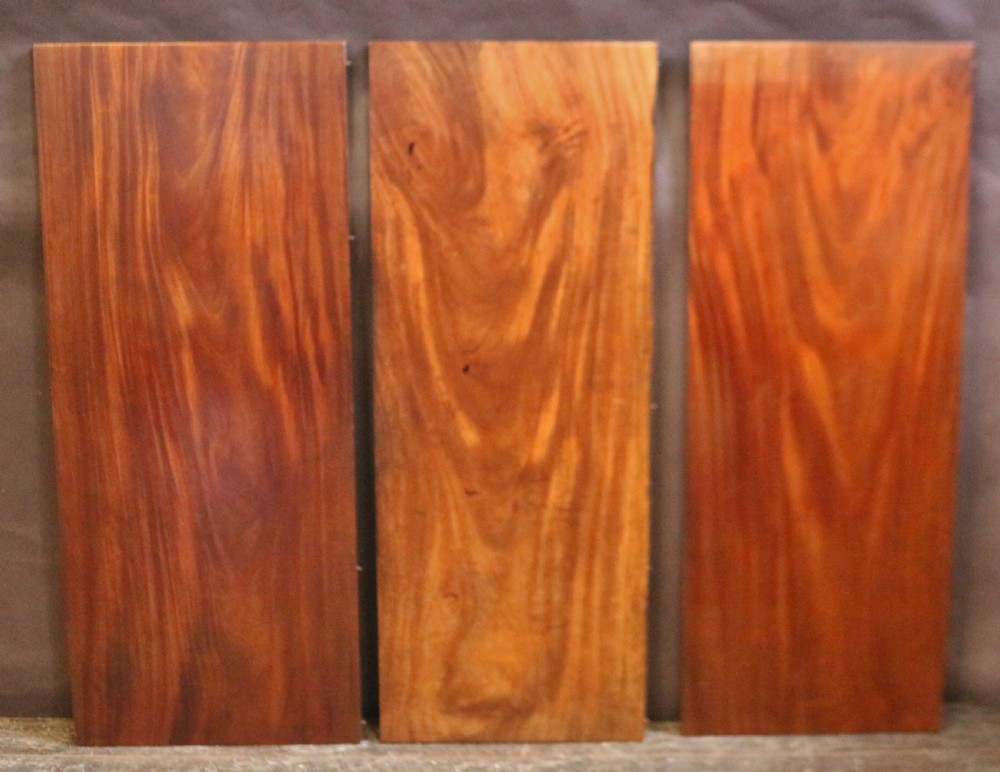 Regency Mahogany Extending Dining with 3 Extra Leaves View XI