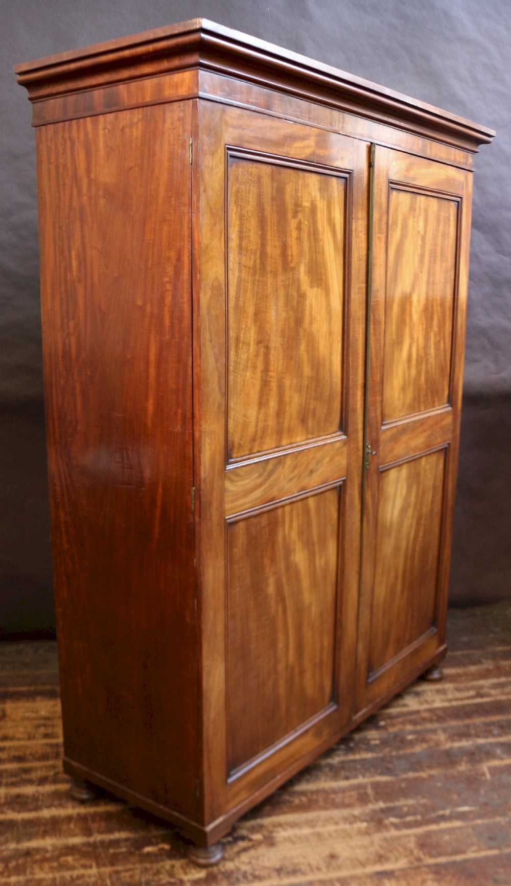 George 111 Mahogany 2 Door Wardrobe. View II