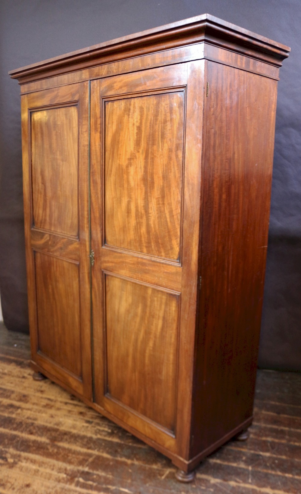 George 111 Mahogany 2 Door Wardrobe. View III