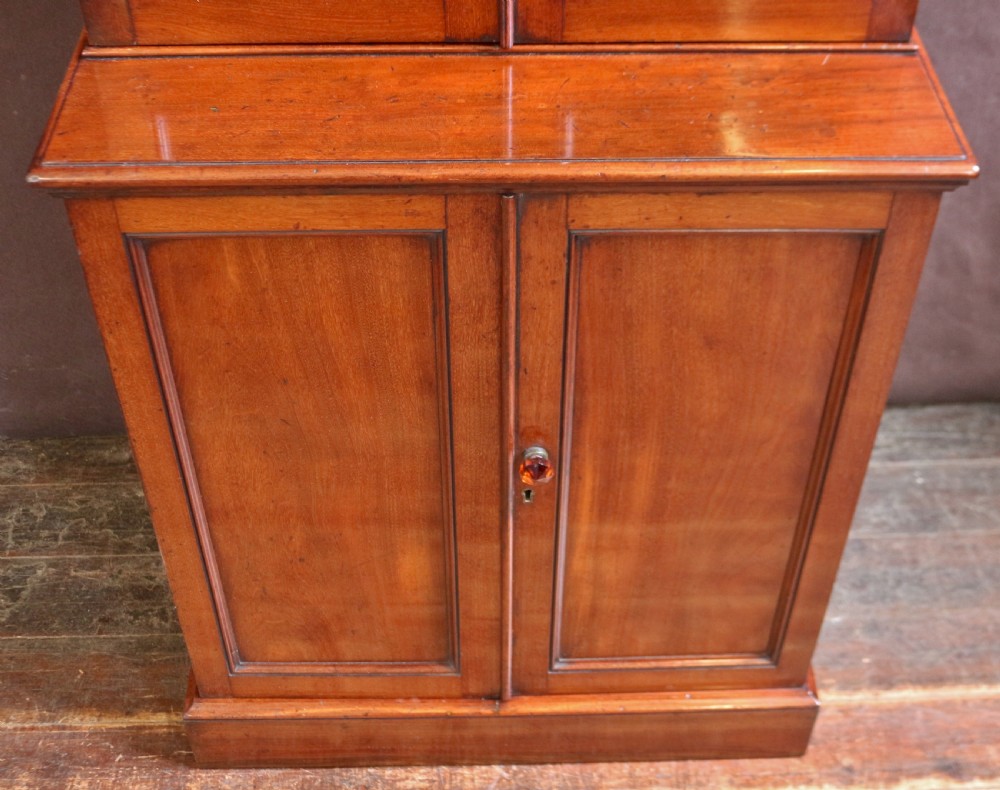 Victorian Mahogany Narrow 2 Door Cupboard Base Bookcase View VI