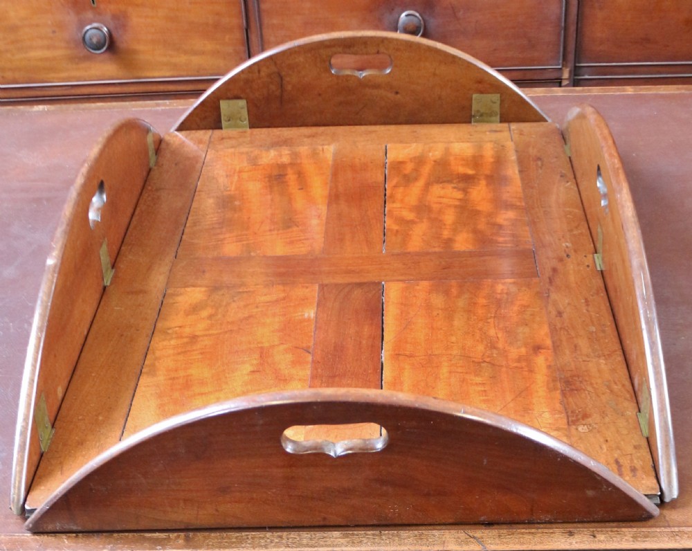 George 111 Mahogany Oval Butlers Tray with Drop Down Sides View IV
