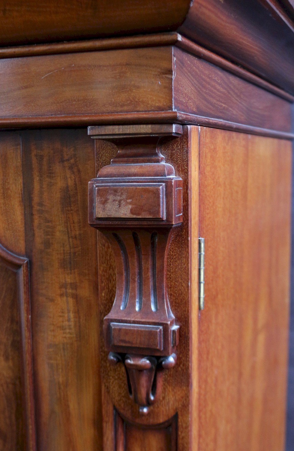 Early Victorian Mahogany 2 Door Wardrobe View VI