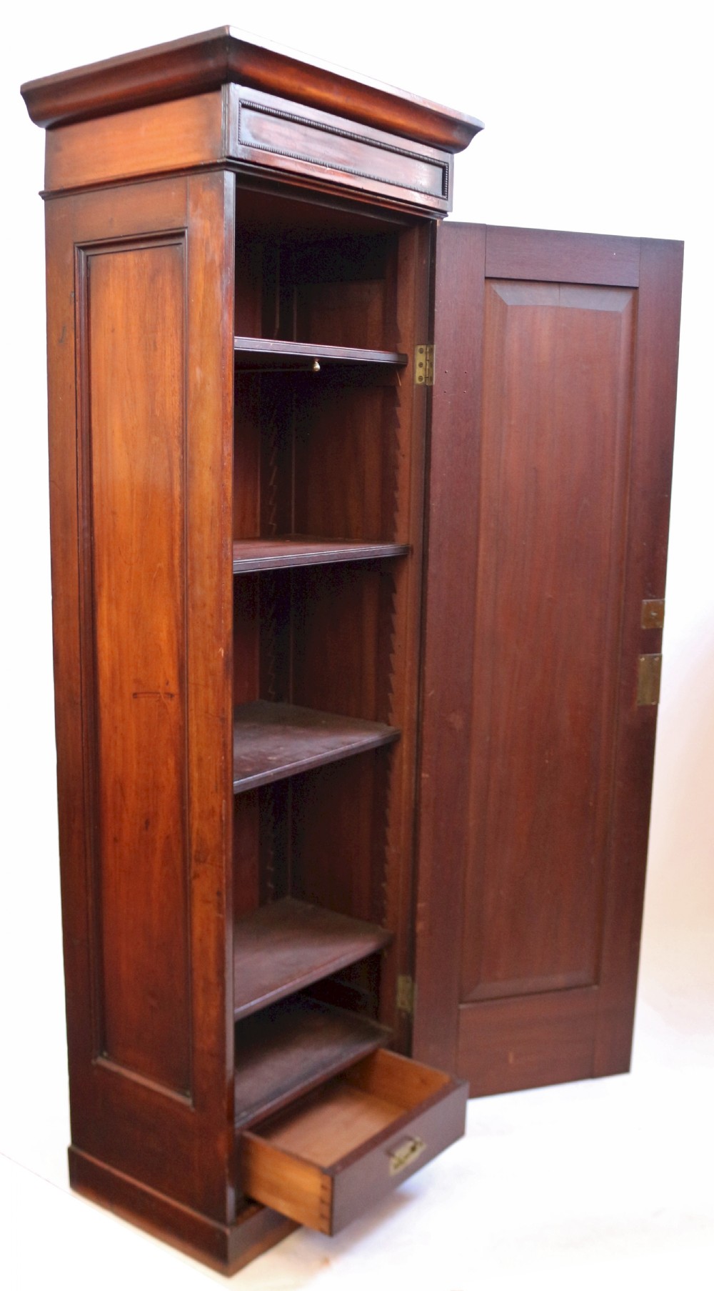 Victorian Mahogany Single Door Hall Cupboard View III