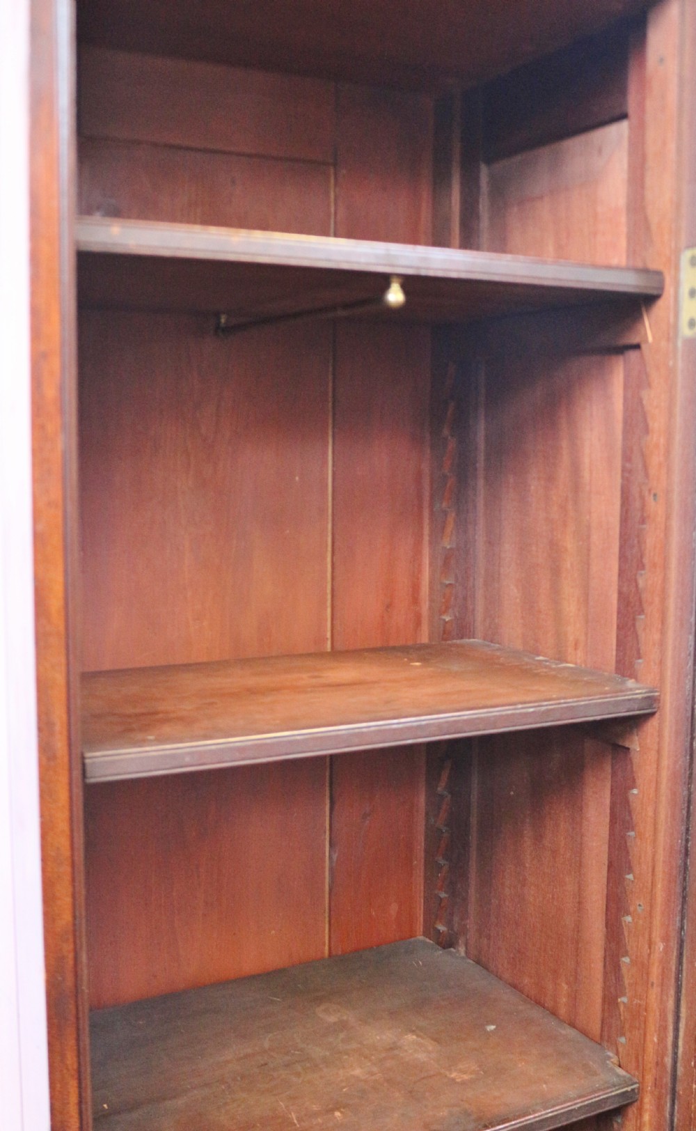 Victorian Mahogany Single Door Hall Cupboard View IV