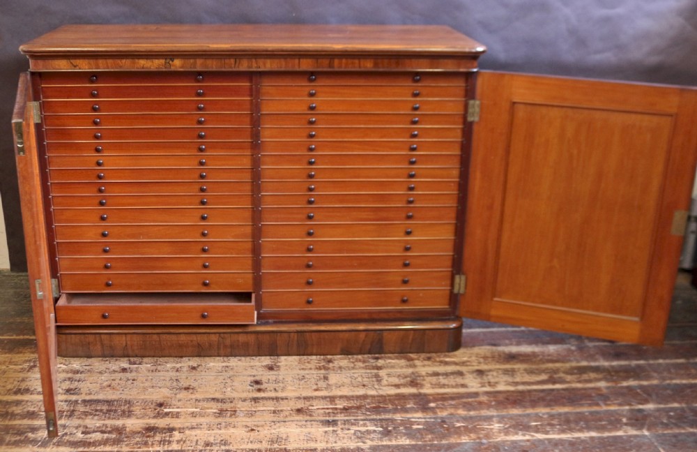 William 1V Rosewood Fine Quality 32 Drawer Collectors Cabinet View VI