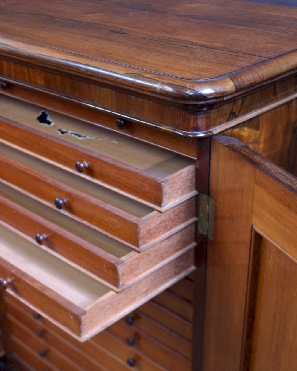 William 1V Rosewood Fine Quality 32 Drawer Collectors Cabinet View VII