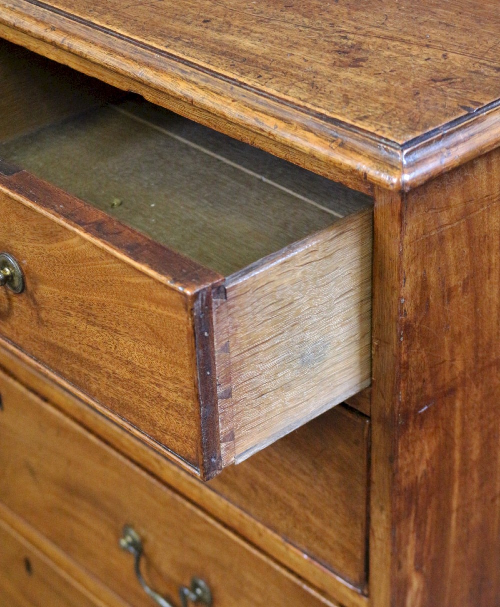 A George III mahogany chest of drawers featuring two short drawers over three long drawers with brass swan-neck handles and bracket feet. View III